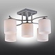 потолочная люстра omnilux pisticci oml-55307-05