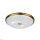 потолочный светильник odeon light walli pelow 4956/5