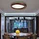 потолочный светильник imperiumloft runis 219474-26