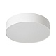 потолочный светильник citilux bart cl755290