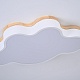 потолочная люстра imperiumloft cloud eco 189500-26