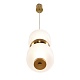 подвесной светильник lumion ledio taisha 8324/20l