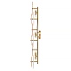настенный светильник myfar fiona mr2530-6w