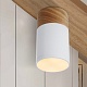 потолочный светильник imperium loft wood 141159-26
