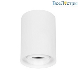 Накладной светильник Arlight SP-FOCUS-R86-10W Day4000 054836