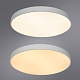 потолочный светодиодный светильник arte lamp arena a2671pl-1wh