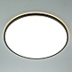 потолочный светильник citilux norma led rgb cl749501