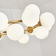 подвесная люстра zortes blume zrs.1895.05