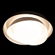 потолочный светильник loft it petale 10256 black