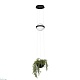 подвесной светильник loft it jardin 10121/b