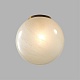 потолочный светильник odeon light midcent magia 7109/1c