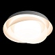потолочный светильник loft it petale 10256 white
