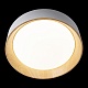 потолочный светодиодный светильник loft it coin 10202 white
