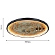 потолочный светильник favourite tallar 4861-3c