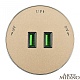 трековая розетка arte milano am-track-sockets 380011ts/usbx2 gold