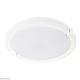 потолочный светодиодный светильник arte lamp biscotti a2679pl-72wh