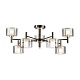 люстра на штанге citilux elan cl241171