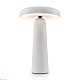 настольная аккумуляторная лампа freya mushroom fr6109tl-l4w