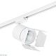 трековый светильник lightstar canno led (301262+202996) c126296