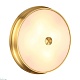 накладной светильник odeon light marsei 4824/4c