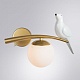 бра arte lamp eltanin a3422ap-1go