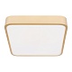 потолочный светодиодный светильник loft it flims 10228/c