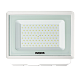 прожектор wolta wfl-100w/06w