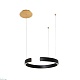 подвесной светодиодный светильник loft it ring 10025/400 black