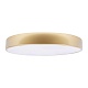 потолочный светодиодный светильник loft it flims 10228/a